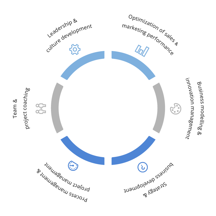 Leadership and culture development, Optimization of sales and marketing performance, Business modelling and innovation management, Strategy and business development, Process management and project management, Team and project coaching