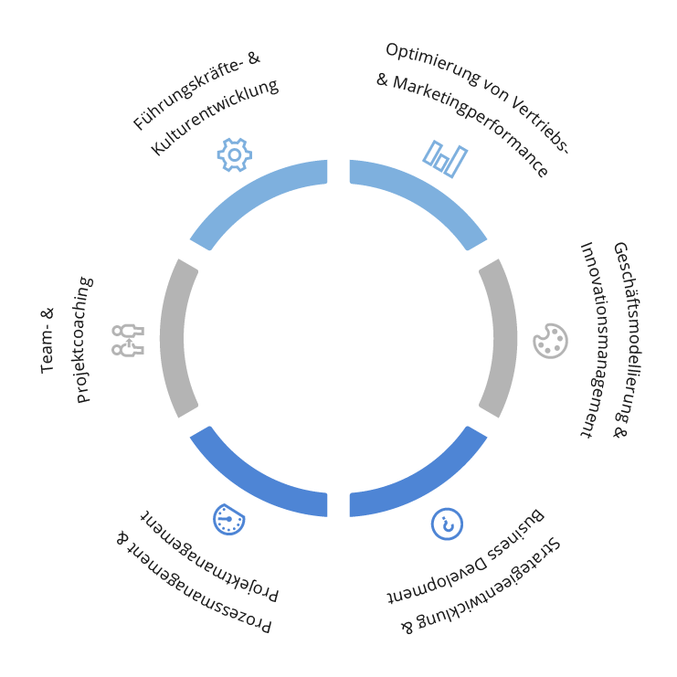 Führungskräfte- und Kulturentwicklung, Optimierung von Vertriebs- und Marketingperformance, Geschäftsmodellierung und Innovationsmanagement, Strategieentwicklung und Business Development, Prozessmanagement und Projektmanagement, Team- und Projektcoaching